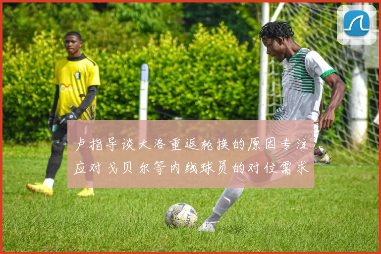 卢指导谈大洛重返轮换的原因专注应对戈贝尔等内线球员的对位需求调整