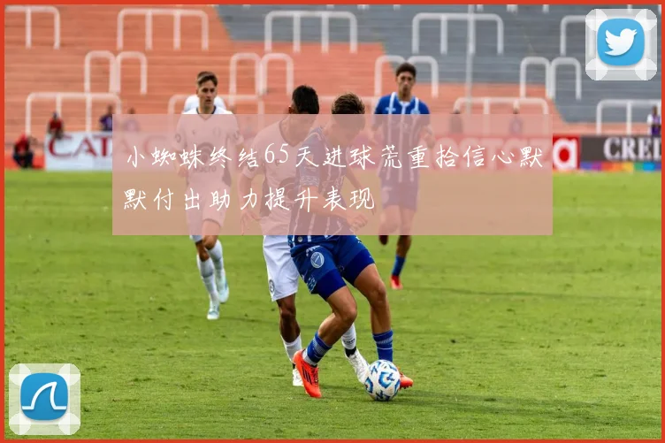 小蜘蛛终结65天进球荒重拾信心默默付出助力提升表现